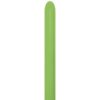 Lime Green R260-031 Sempertex (50st)